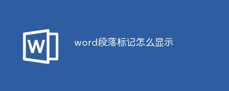 word段落标记怎么显示