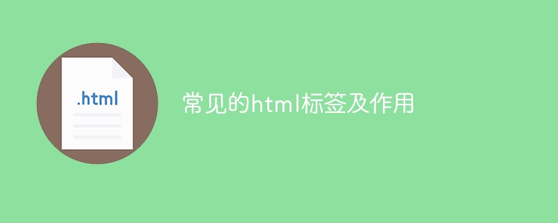 常见的html标签及作用