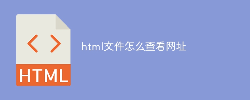 html文件怎么查看网址