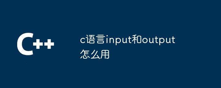 c语言input和output怎么用