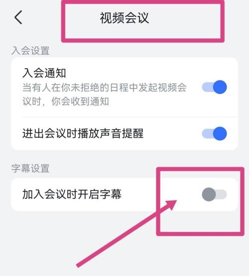 飞书怎么开启视频会议字幕 开启视频会议字幕的操作方法