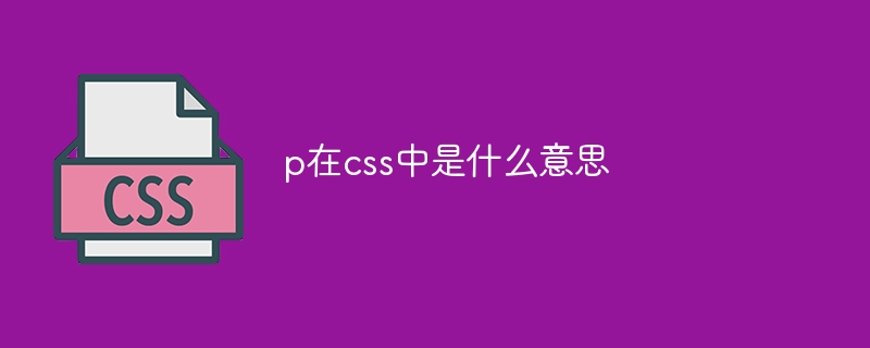 p在css中是什么意思