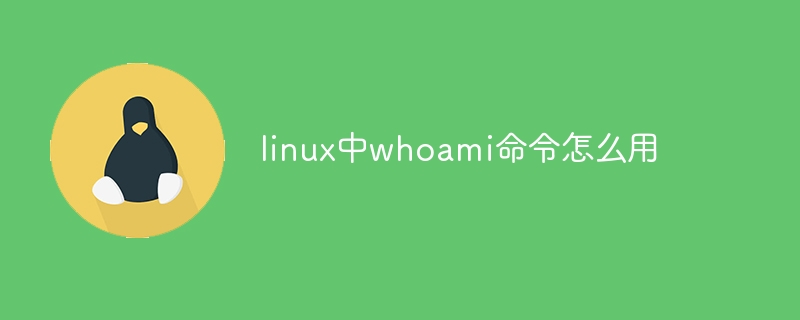 linux中whoami命令怎么用