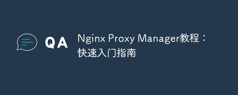 nginx proxy manager教程：快速入门指南