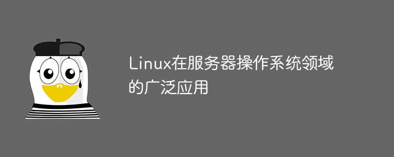 linux在服务器操作系统领域的广泛应用