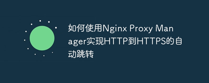 如何使用nginx proxy manager实现http到https的自动跳转