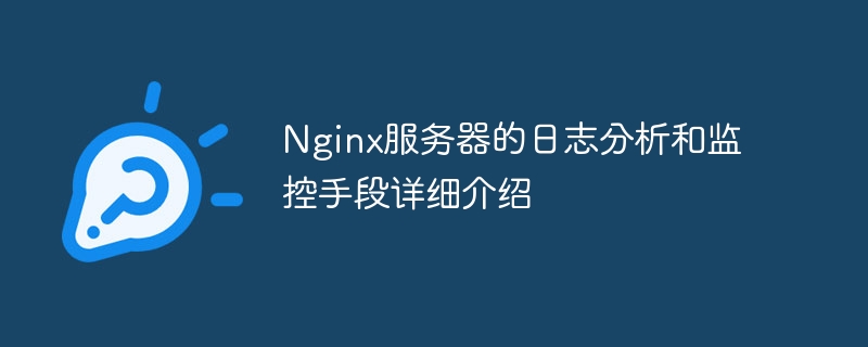 nginx服务器的日志分析和监控手段详细介绍