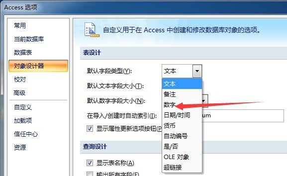 access对象设计器默认字段类型设置方法