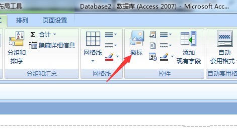 access数据库修改报表微标的操作方法