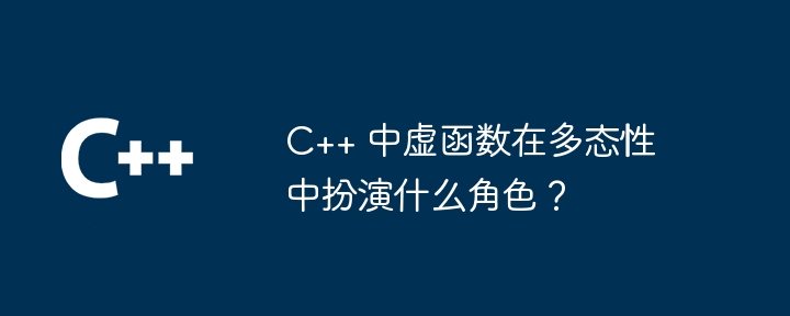 C++ 中虚函数在多态性中扮演什么角色？