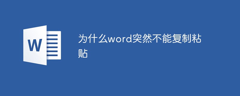 为什么word突然不能复制粘贴