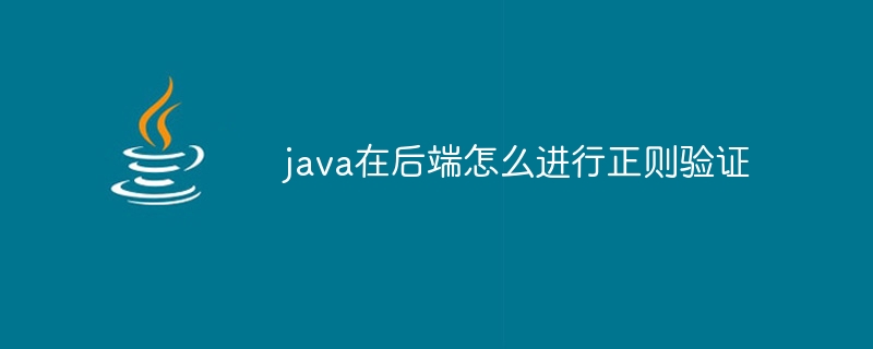 java在后端怎么进行正则验证