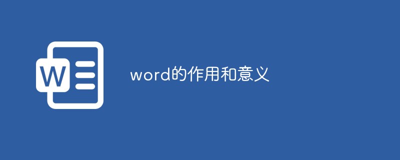 word的作用和意义