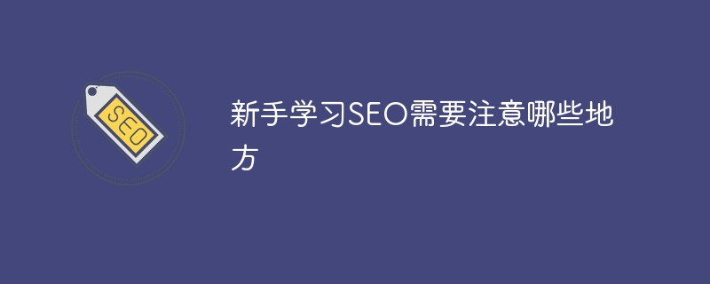 新手学习SEO需要注意什么地方