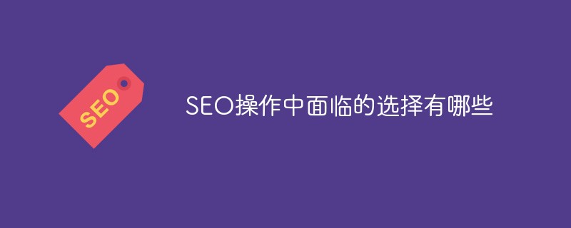 SEO操作中面临的选择有哪些