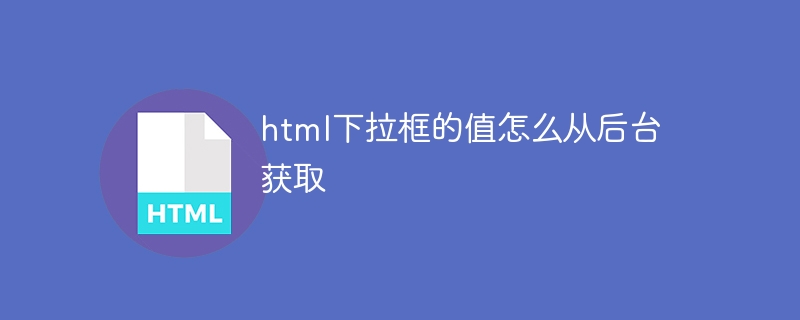 html下拉框的值怎么从后台获取