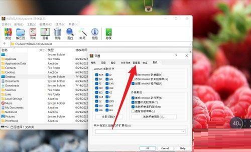 WinRAR怎么设置查看器类型 WinRAR设置查看器类型的方法