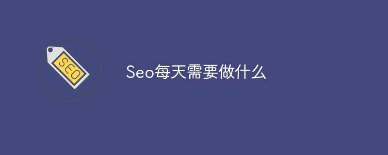 Seo每天需要做什么