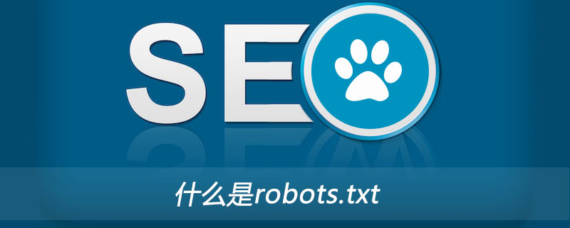 什么是robots.txt？（robots.txt.....）