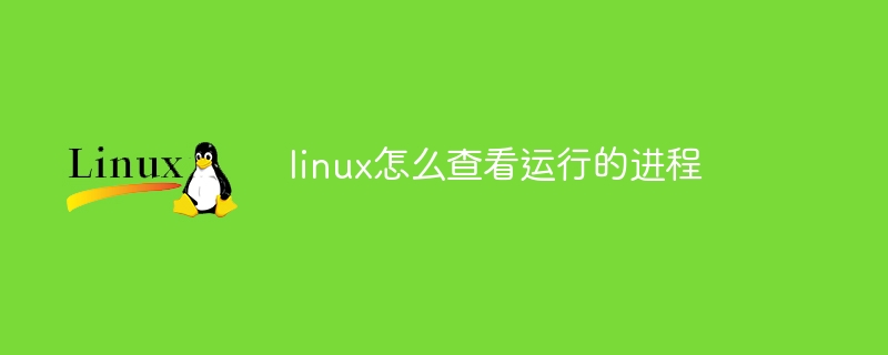 linux怎么查看运行的进程(进程,运行,查看,linux....)