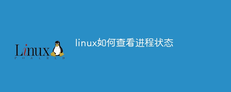 linux如何查看进程状态(进程,状态,查看,linux....)