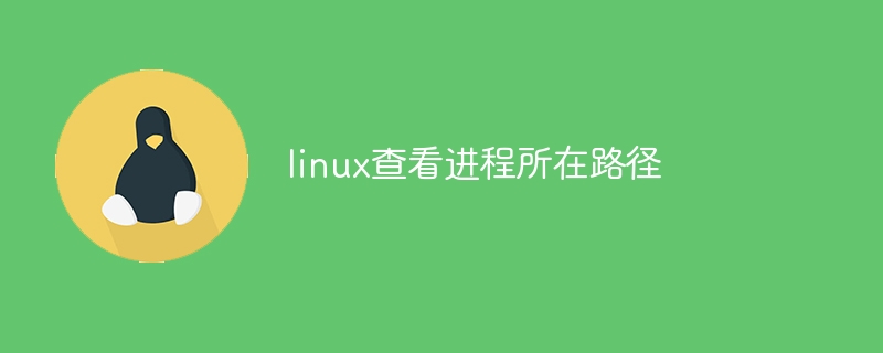 linux查看进程所在路径(路径,进程,查看,linux....)