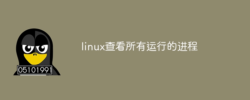 linux查看所有运行的进程(进程,运行,查看,linux....)