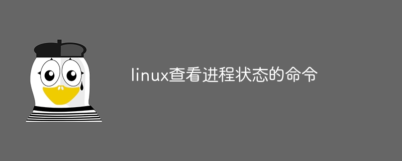 linux查看进程状态的命令(进程,命令,状态,查看,linux....)