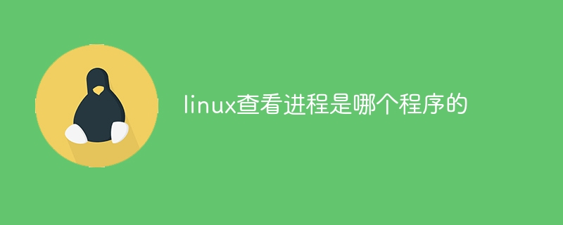 linux查看进程是哪个程序(进程,程序,查看,是哪个,linux....)