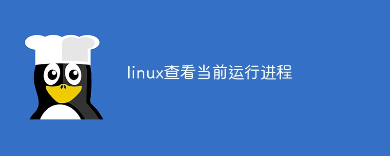 linux查看当前运行进程(进程,运行,查看,linux....)