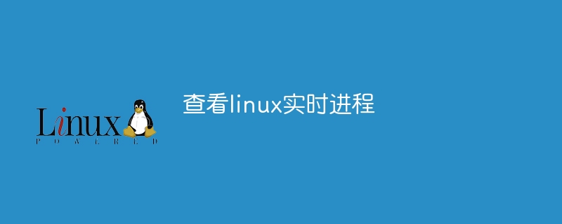 查看linux实时进程(实时,进程,查看,linux....)