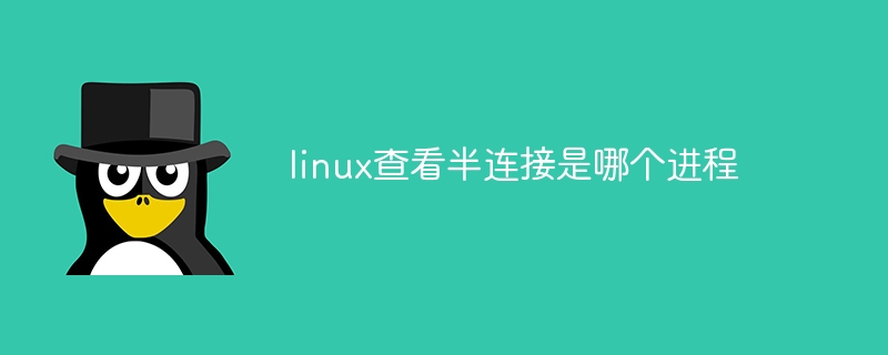 查看linux进程运行时间(进程,运行,时间,查看,linux....)