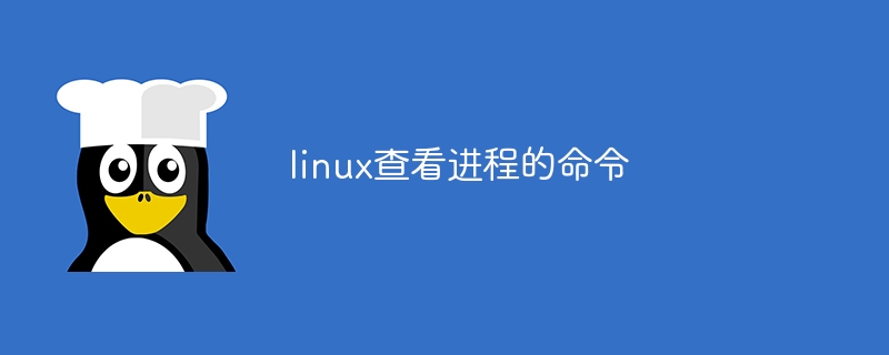 linux查看进程的方法(进程,方法,查看,linux....)