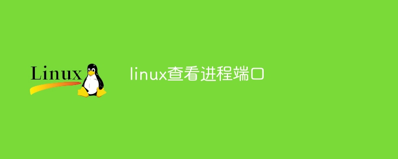 linux查看进程占用内存大小(占用,内存大小,进程,查看,linux....)