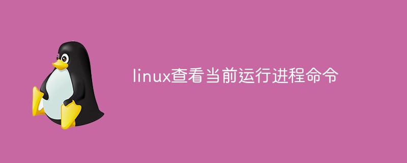 linux查看当前运行进程命令(进程,命令,运行,查看,linux....)