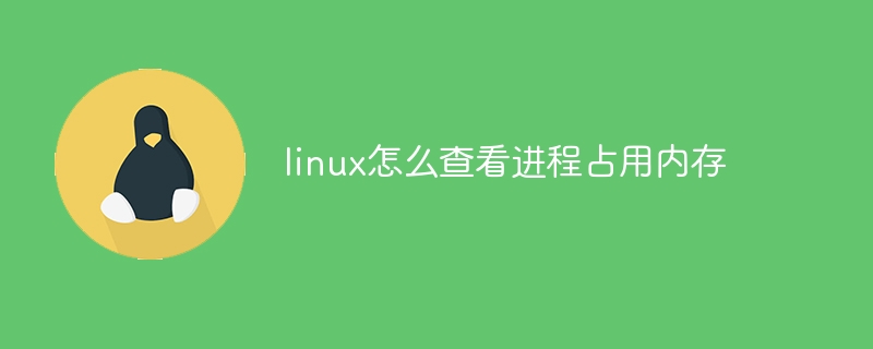 linux怎么查看进程占用内存(占用,进程,内存,查看,linux....)