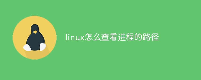 linux怎么查看进程的路径