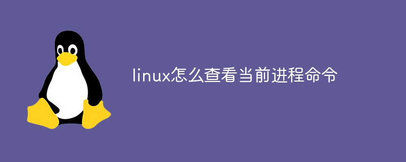 linux怎么查看当前进程命令