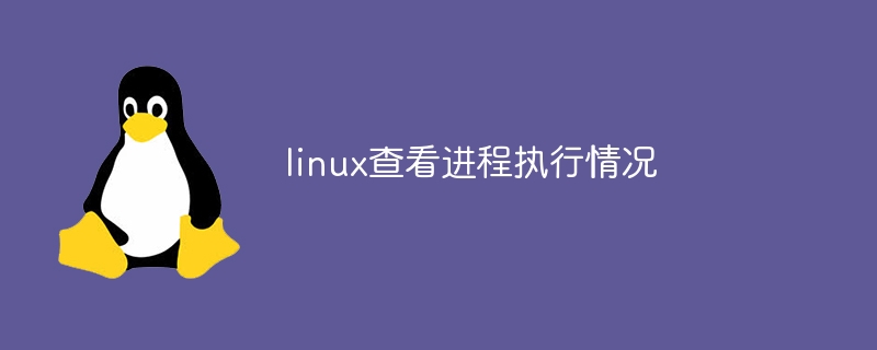 linux查看进程执行情况(执行情况,进程,查看,linux....)