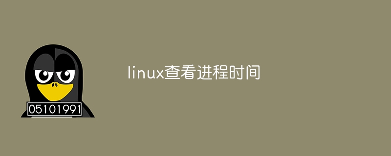 linux查看进程时间