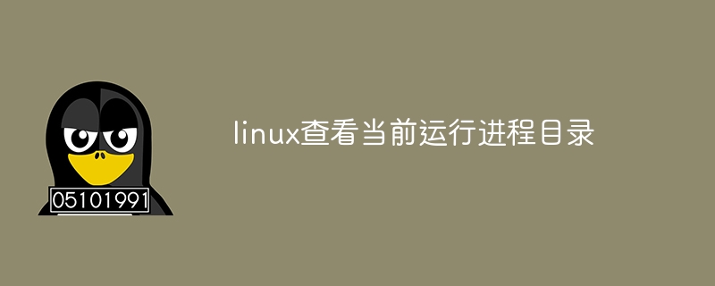 linux查看当前运行进程目录