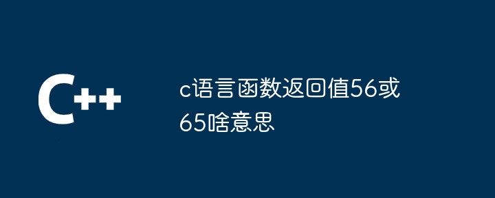 c语言函数返回值56或65啥意思