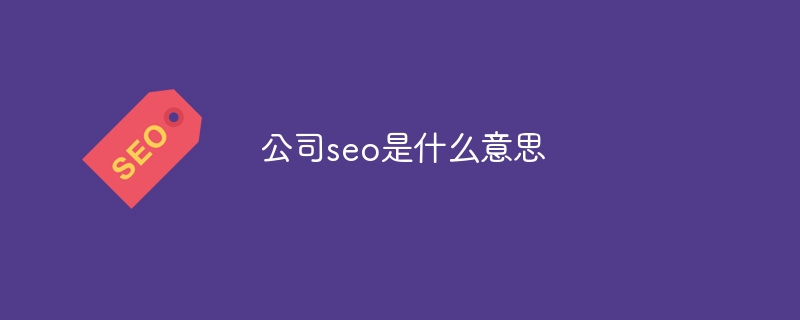 公司seo是什么意思（公司.seo.....）