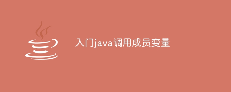 入门java调用成员变量