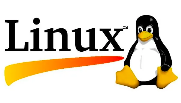 linux怎么查看登录ip（登录.查看.linux.ip...........）