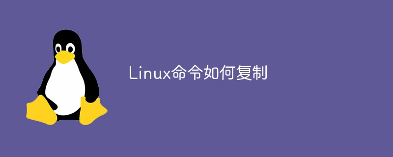 linux命令怎么停止(命令,停止,linux....)