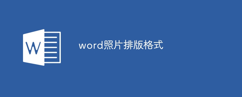 word照片排版格式（排版.格式.照片.word.....）