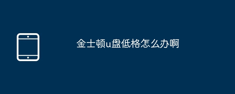 金士顿u盘低格怎么办啊（金士顿.低格.....）