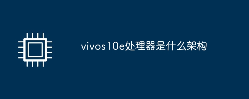 vivos10e处理器是什么架构