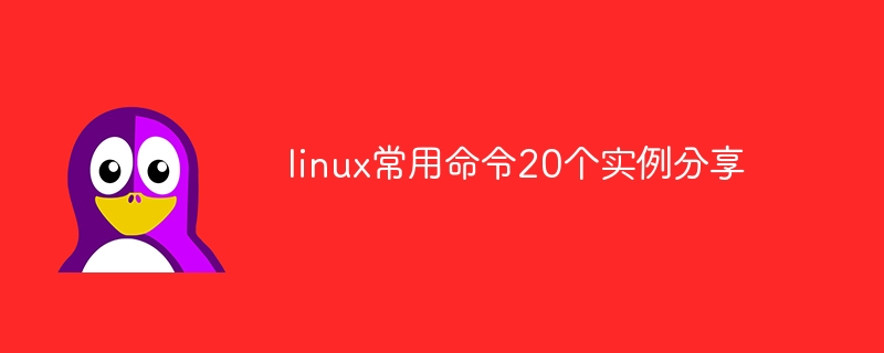 linux常用命令20个实例分享(实例,常用命令,分享,linux....)